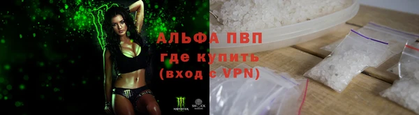 стаф Магас