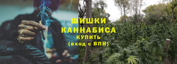 гидра Инсар