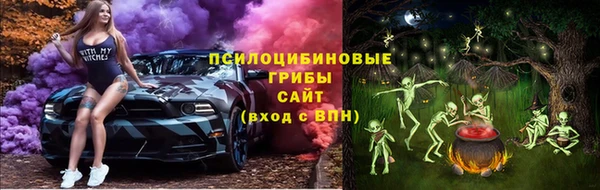 стаф Магас