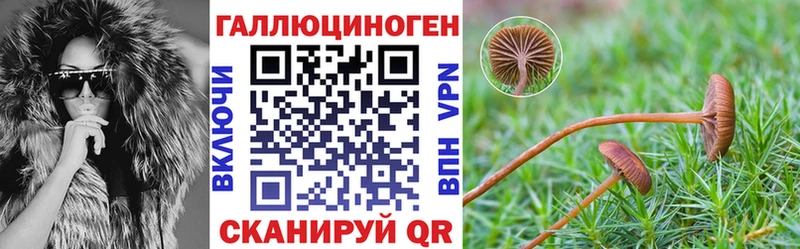 даркнет какой сайт  Торжок  Псилоцибиновые грибы Psilocybine cubensis  blacksprut как зайти 