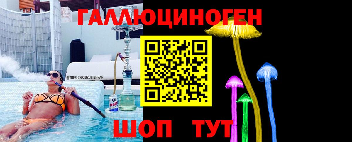 Псилоцибиновые грибы ЛСД  Вход с VPN  Псилоцибиновые грибы мухоморы  Торжок 
